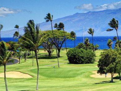 A One Bedroom Stunning Maui Accomodation